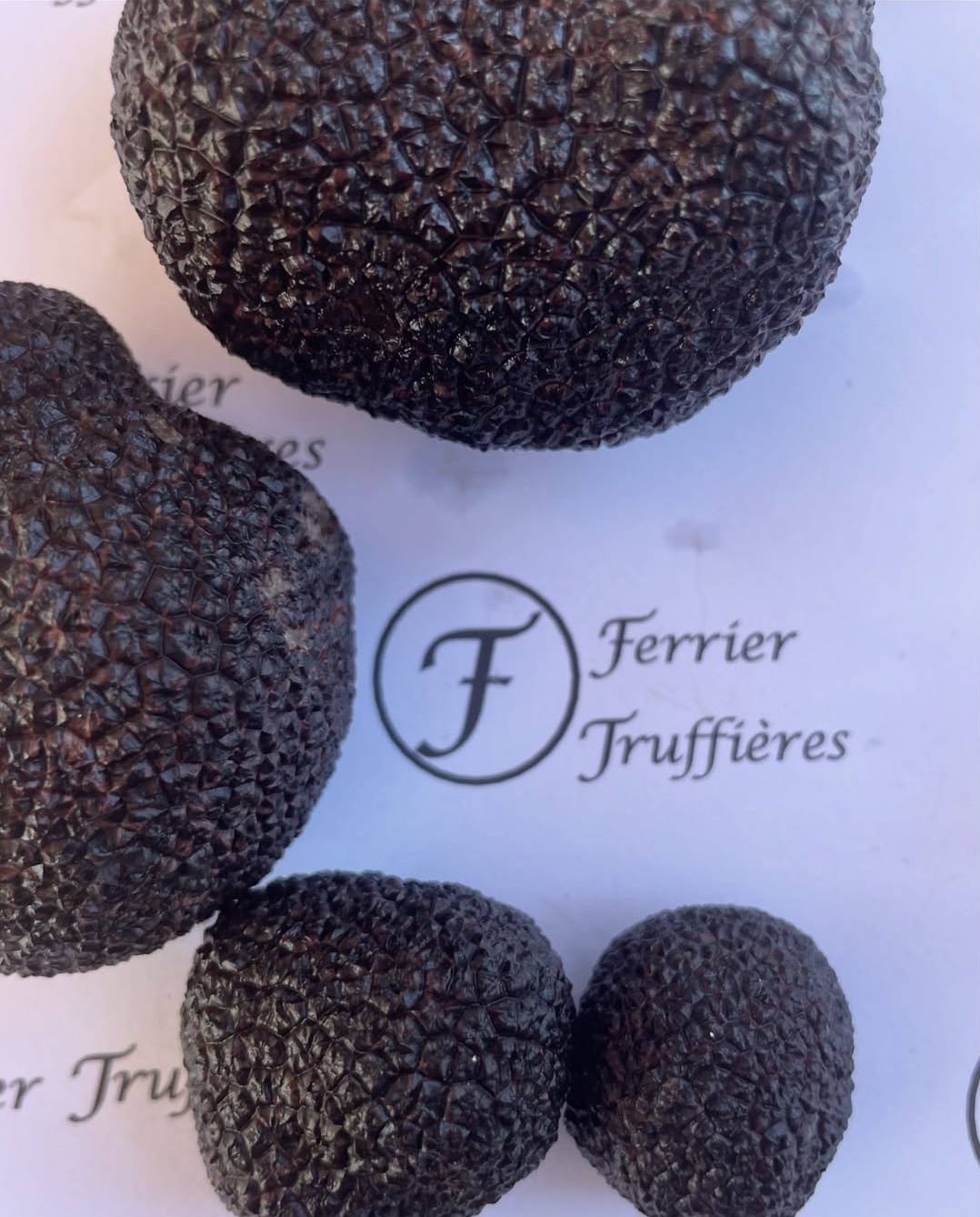 Ferrier Truffles
