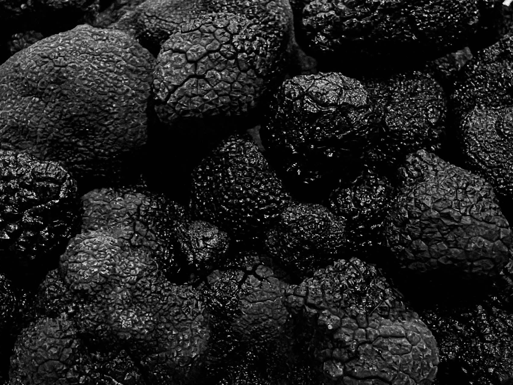 truffles gallery image