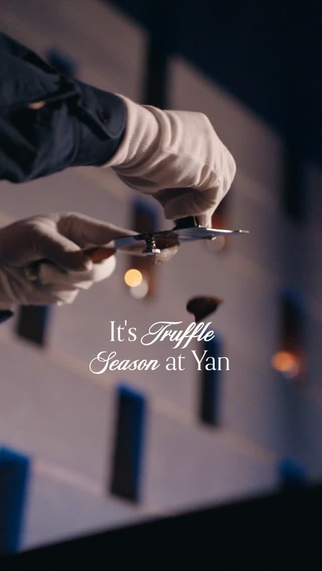 truffles gallery image