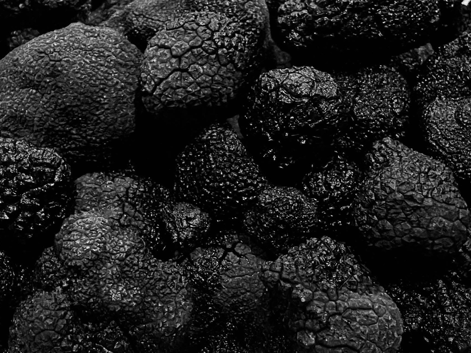 truffles gallery image